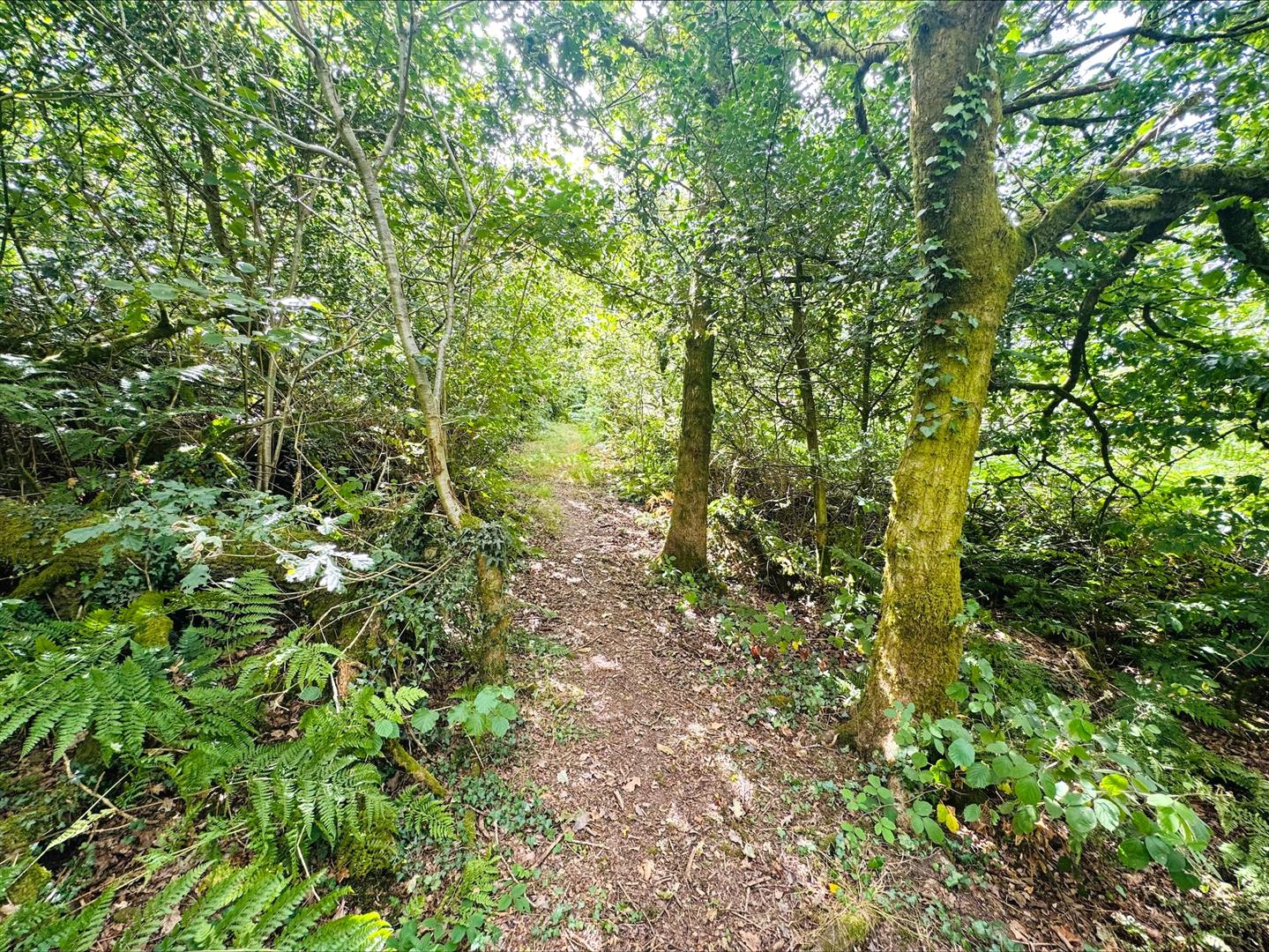 Pembrey, Burry Port, SA16 0BX